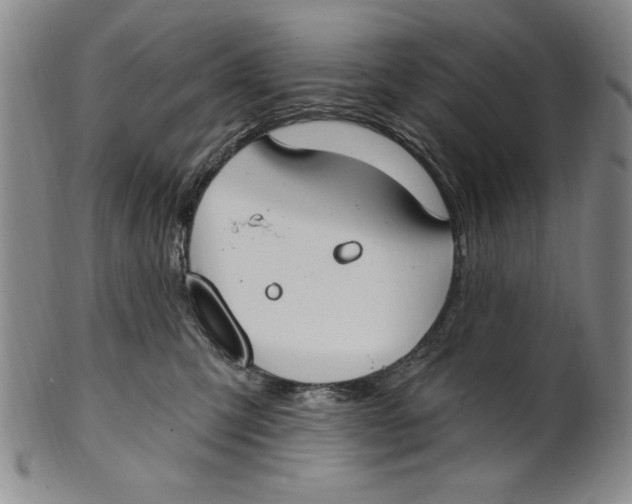X0000101970423200808081555