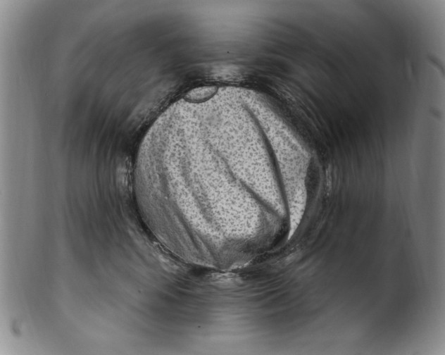 X0000101970424200808081555