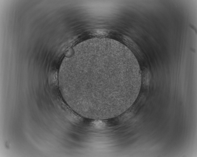 X0000101970425200808081555