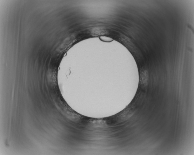X0000101970426200808081555