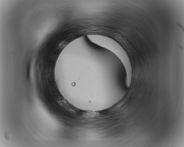 X0000101970429200808081555