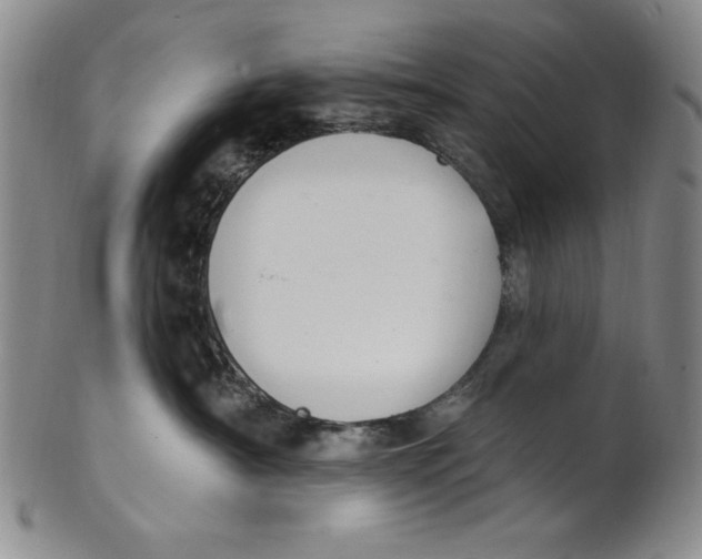 X0000101970430200808081555