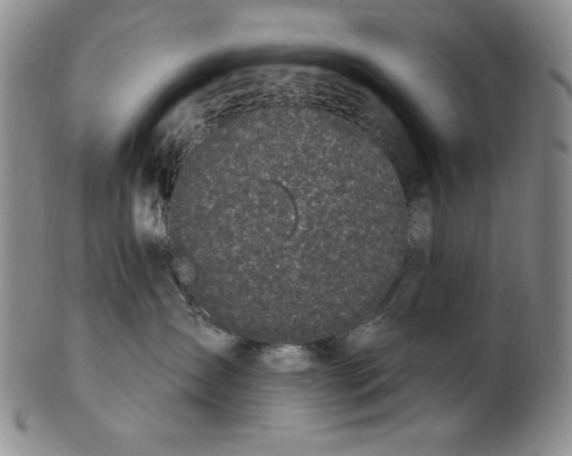 X0000101970431200808081555