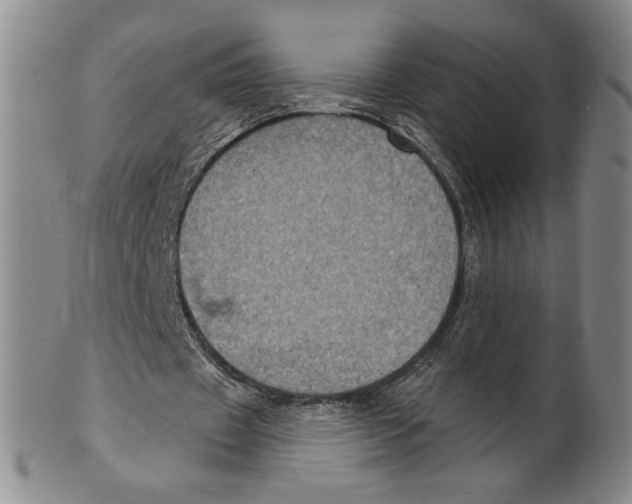 X0000101970433200808081554