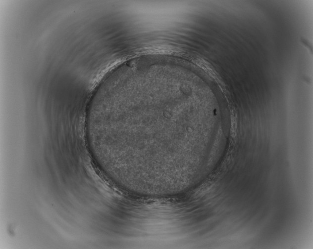 X0000101970434200808081554