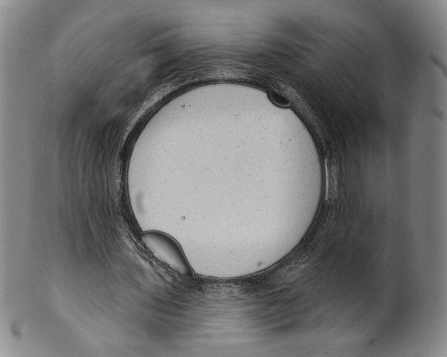 X0000101970435200808081554