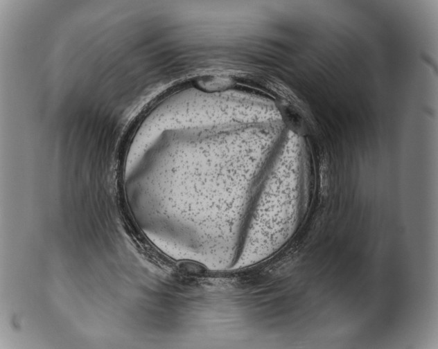 X0000101970436200808081554