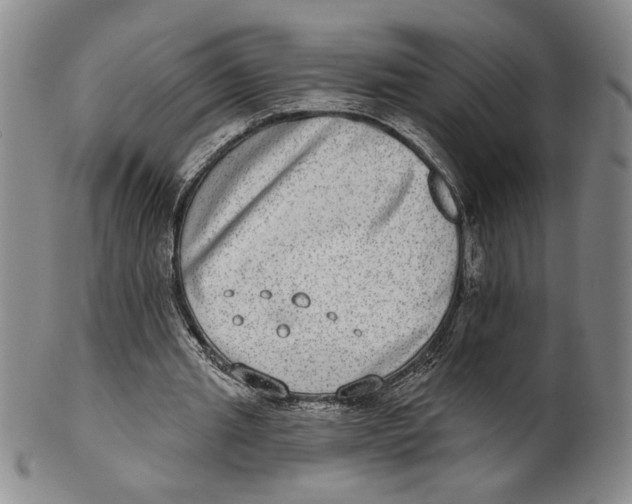 X0000101970437200808081554