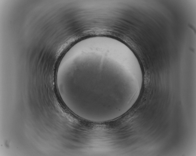 X0000101970438200808081555