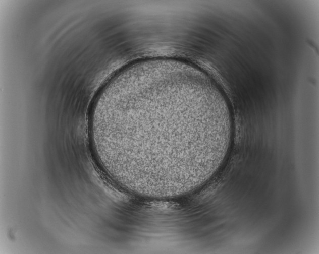 X0000101970439200808081555
