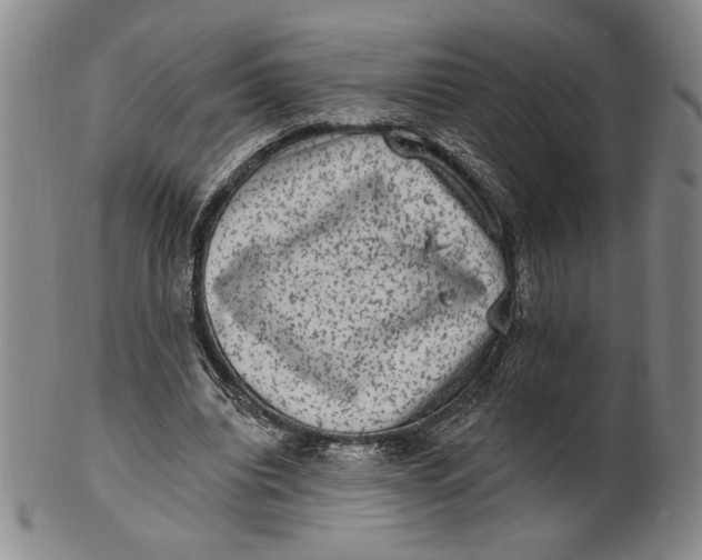 X0000101970440200808081555