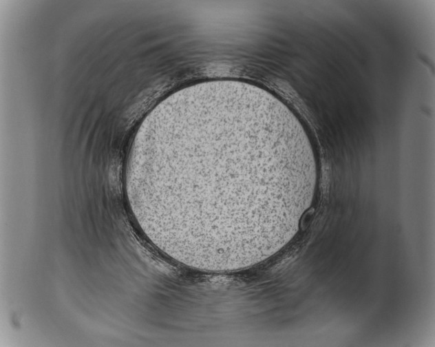 X0000101970441200808081555