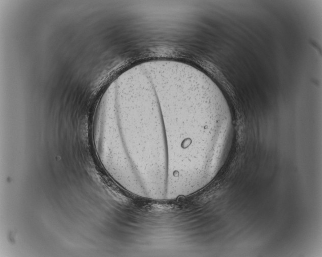 X0000101970442200808081555