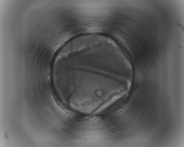 X0000101970443200808081555