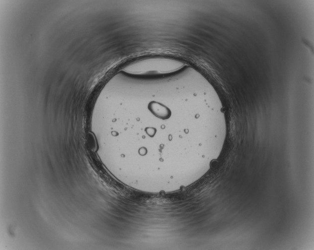 X0000101970444200808081555