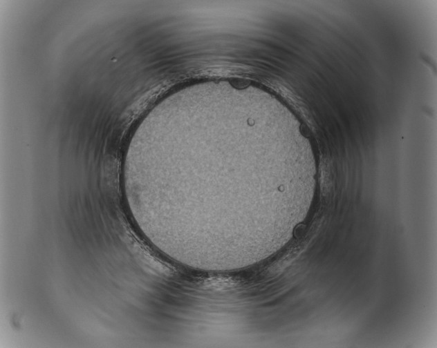 X0000101970445200808081555