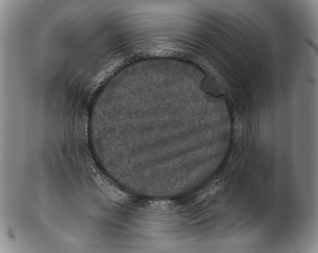 X0000101970446200808081555