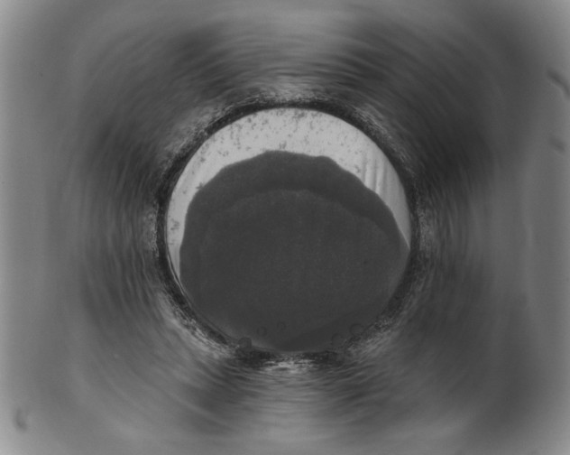 X0000101970447200808081555