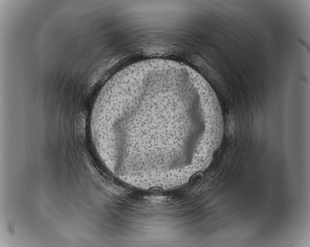 X0000101970448200808081555