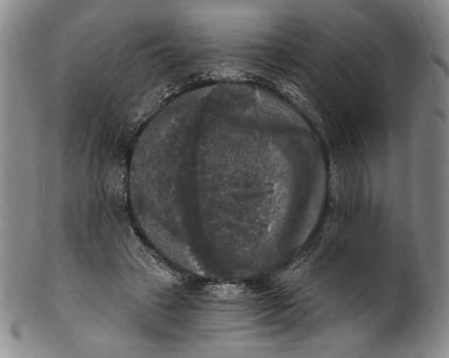 X0000101970449200808081555