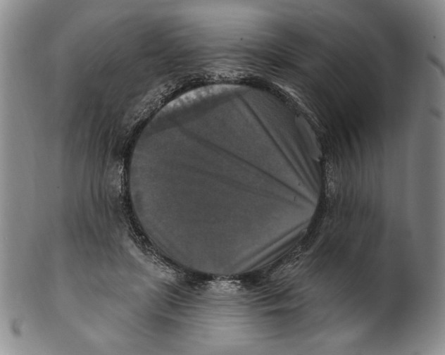 X0000101970451200808081555