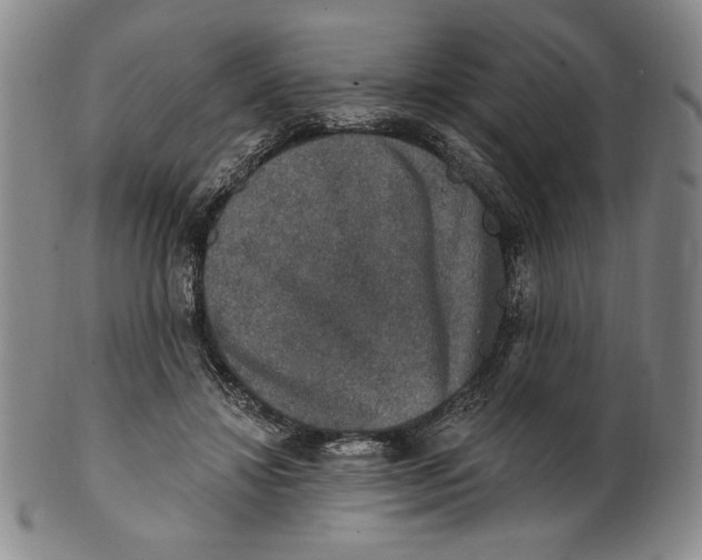 X0000101970452200808081555