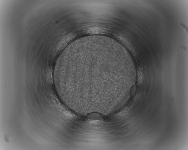 X0000101970453200808081555