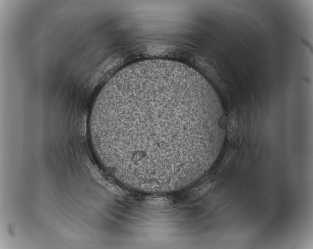 X0000101970454200808081555