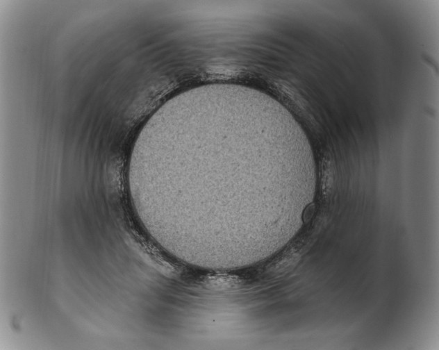 X0000101970455200808081555