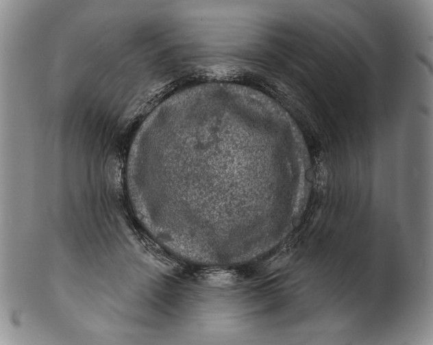 X0000101970456200808081555