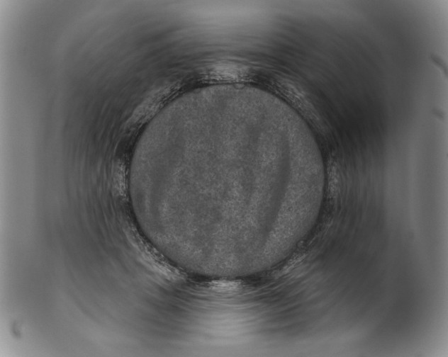 X0000101970457200808081555