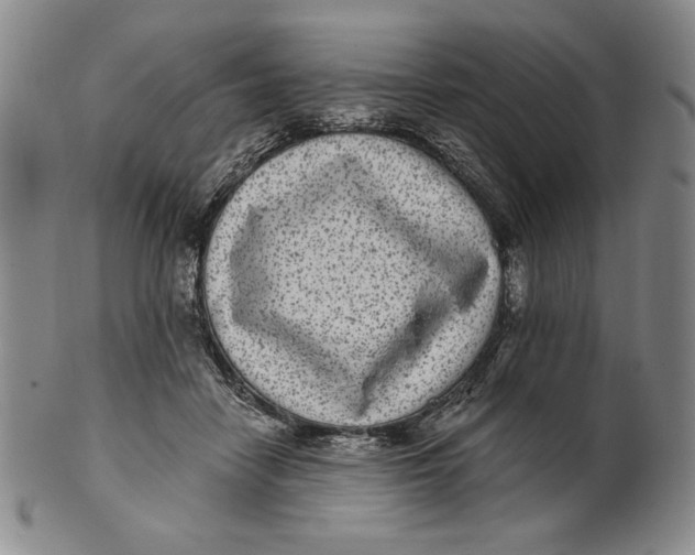 X0000101970458200808081555