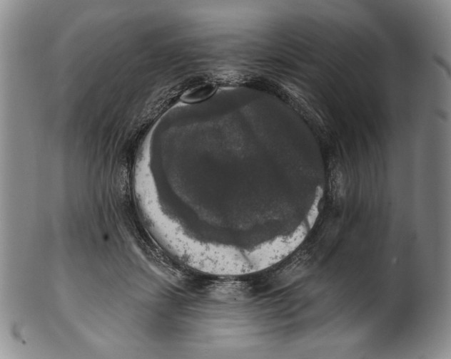 X0000101970459200808081555