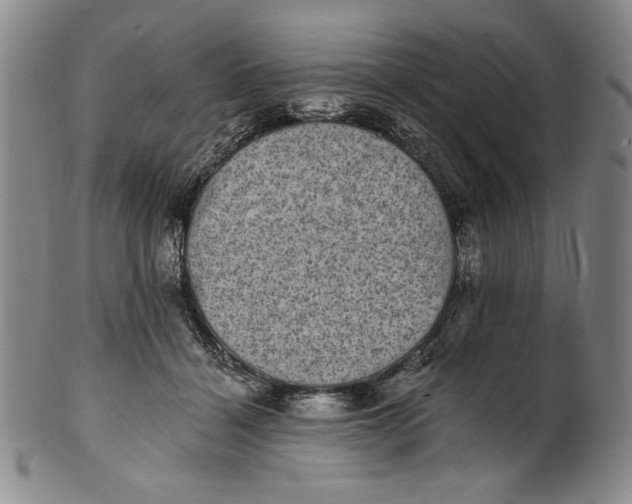 X0000101970460200808081555