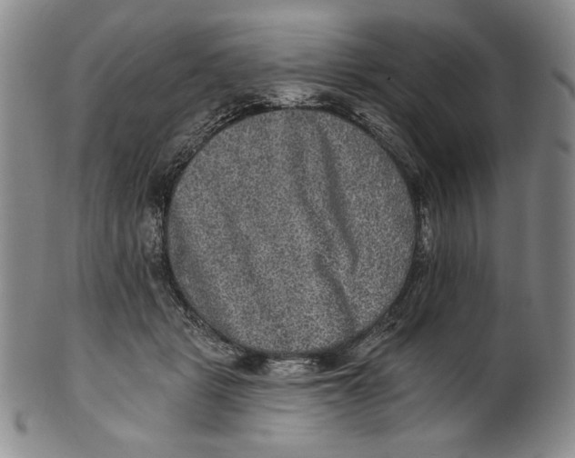 X0000101970461200808081555