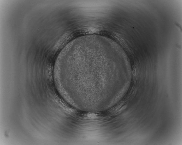 X0000101970462200808081555