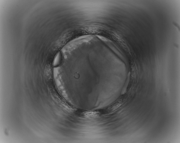 X0000101970465200808081555