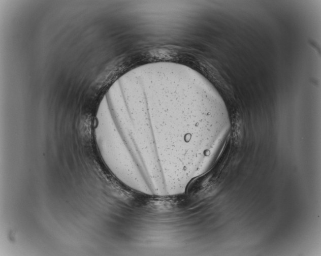 X0000101970466200808081555