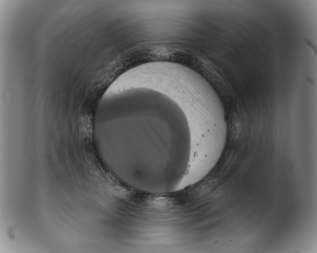 X0000101970467200808081555