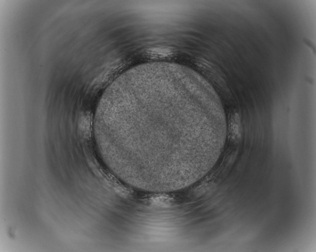 X0000101970468200808081555