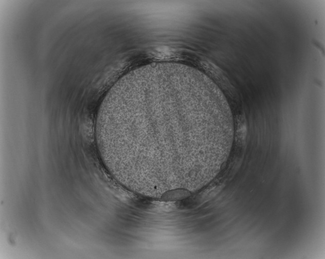 X0000101970469200808081555