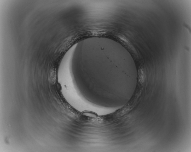 X0000101970471200808081555
