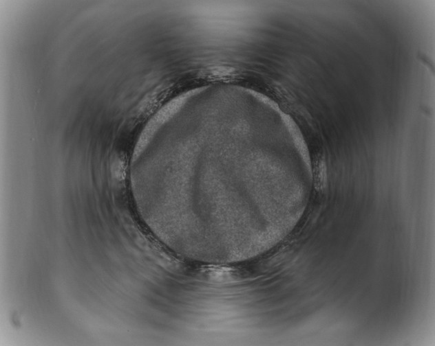 X0000101970472200808081555