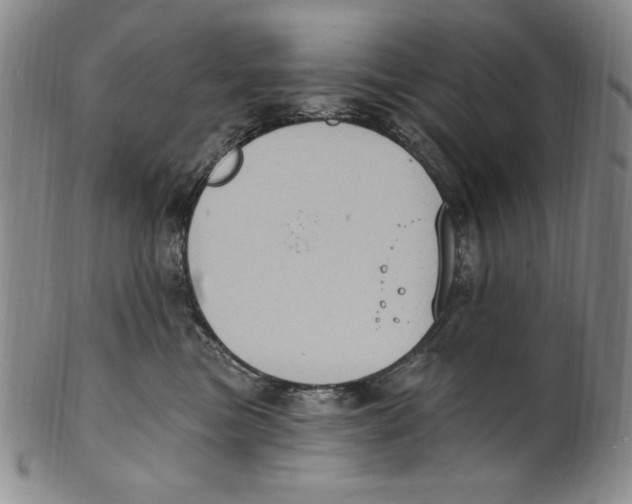 X0000101970473200808081555
