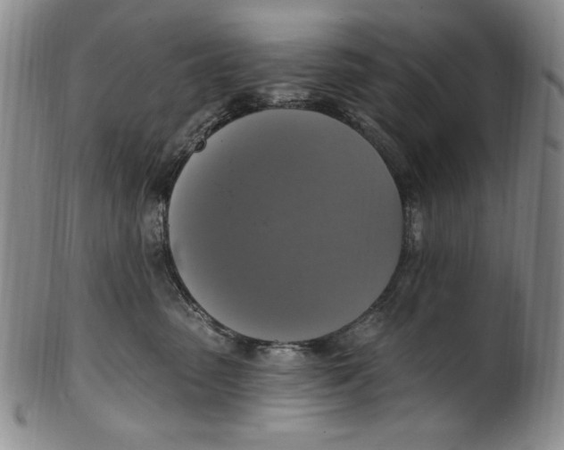 X0000101970475200808081555