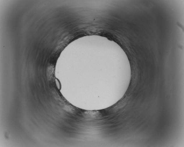 X0000101970480200808081555