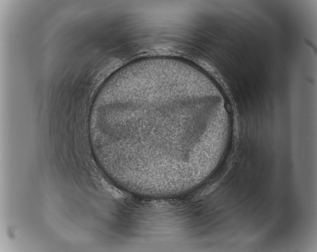X0000101970481200808081554