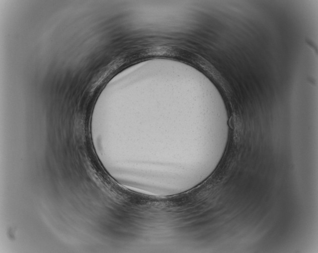 X0000101970482200808081554