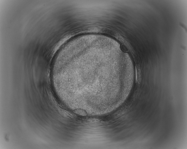 X0000101970483200808081554