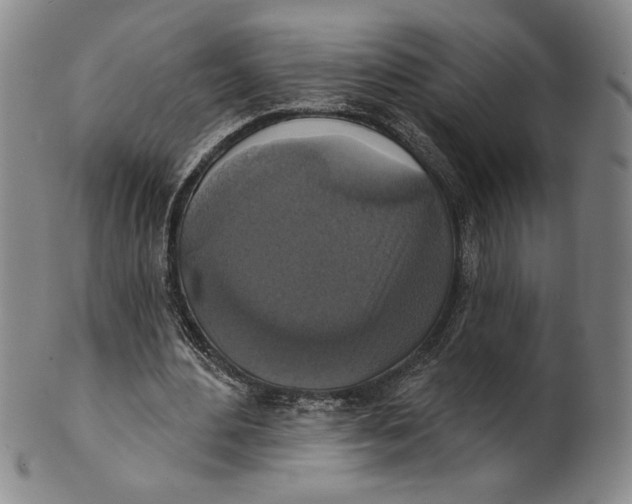 X0000101970484200808081554